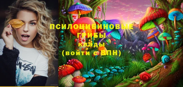 mix Козловка
