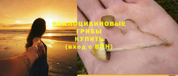 a pvp Козельск
