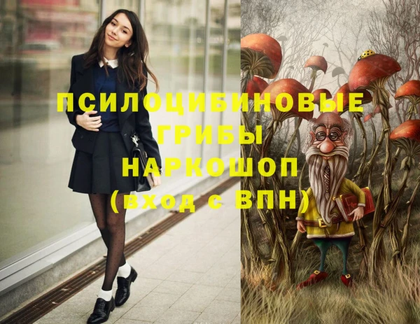 a pvp Козельск